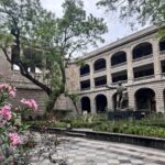 Wasabi Fish: Un restaurante que habita en territorio dragón de la CDMX